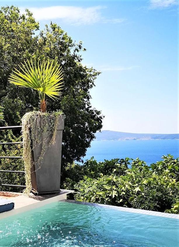 Art Gallery House With A Small Relaxing Pool Crikvenica Kültér fotó